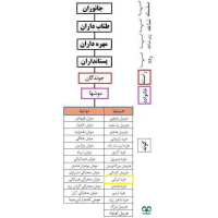 گونه جرد ایرانی Persian Jird